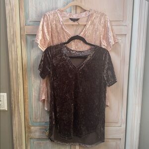 2 Amaryllis Velvet Tops